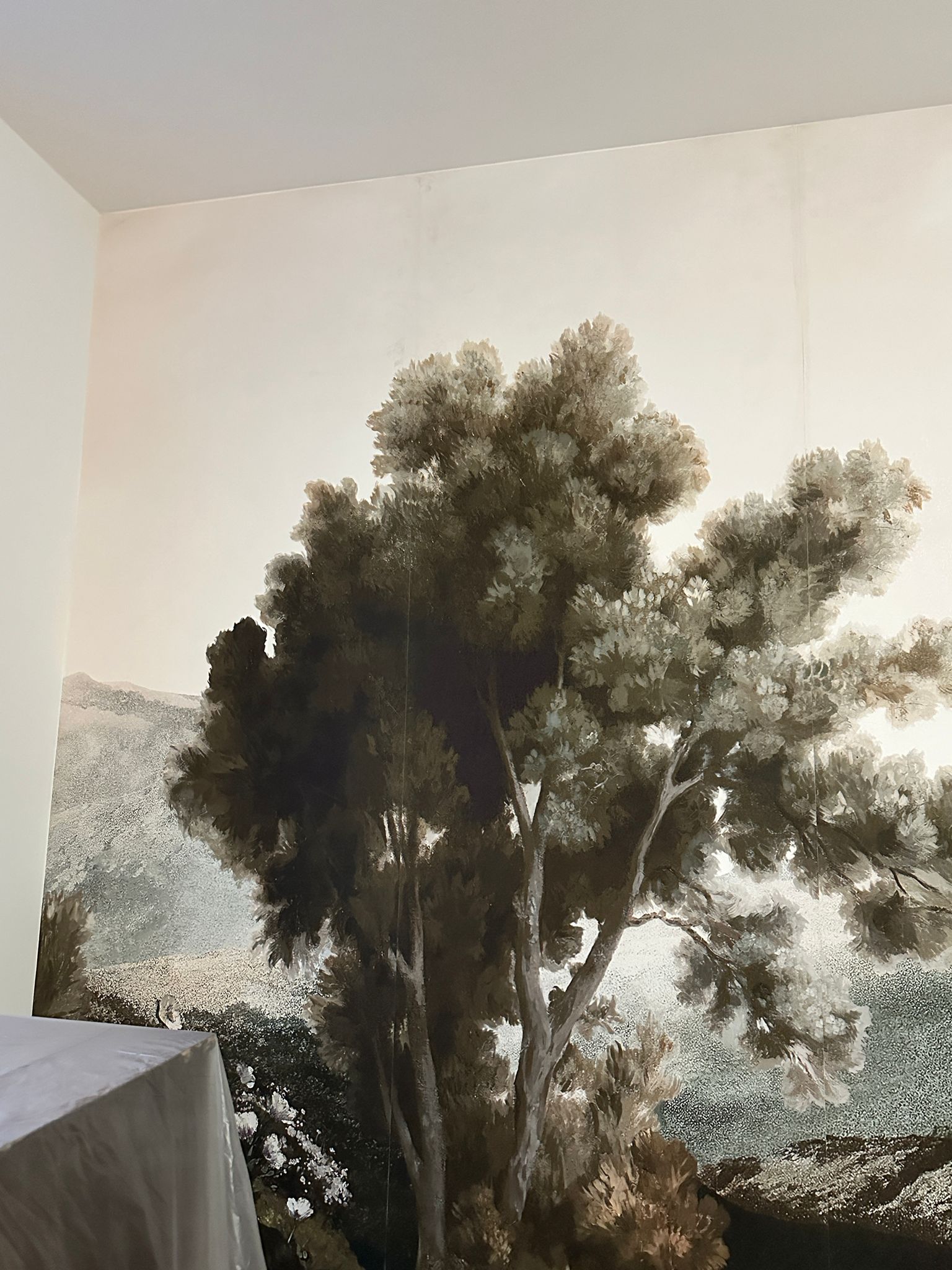 WhatsApp Bild 2025-05-16 um 22.43.32_0c27c9ca