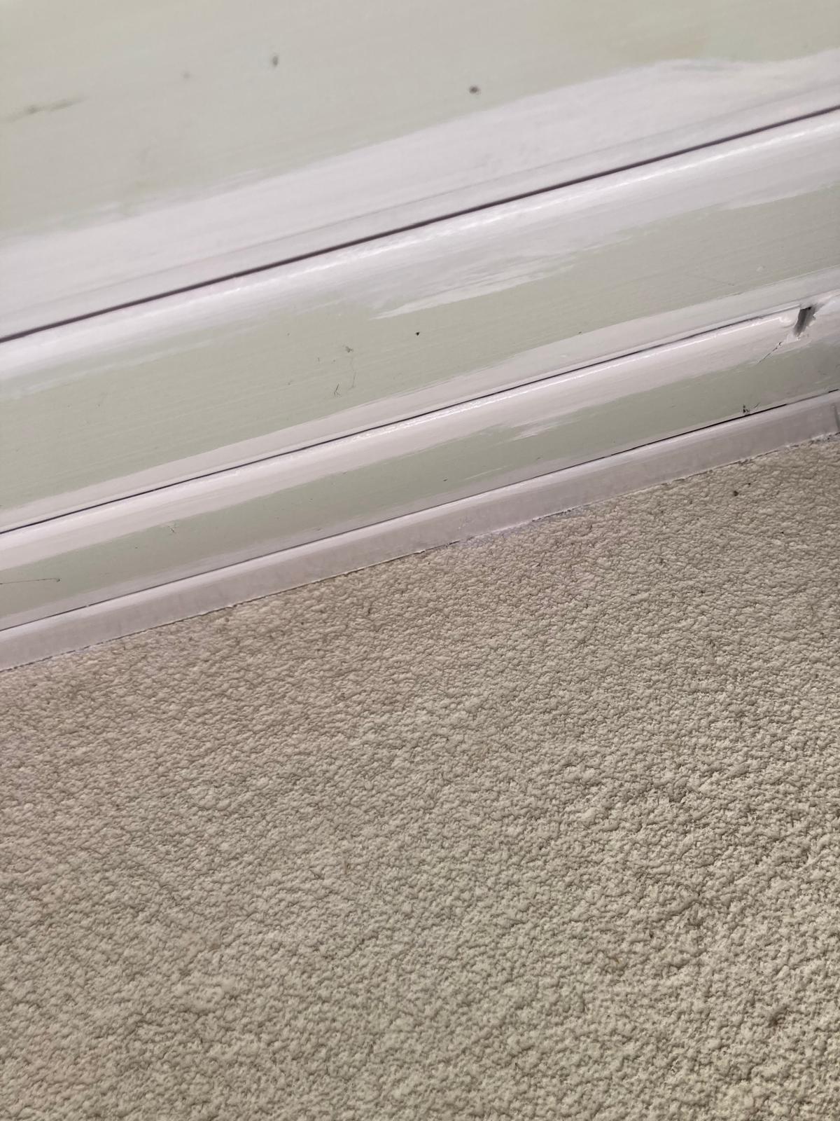 WhatsApp Image 2025-06-24 at 21.00.21 (2)