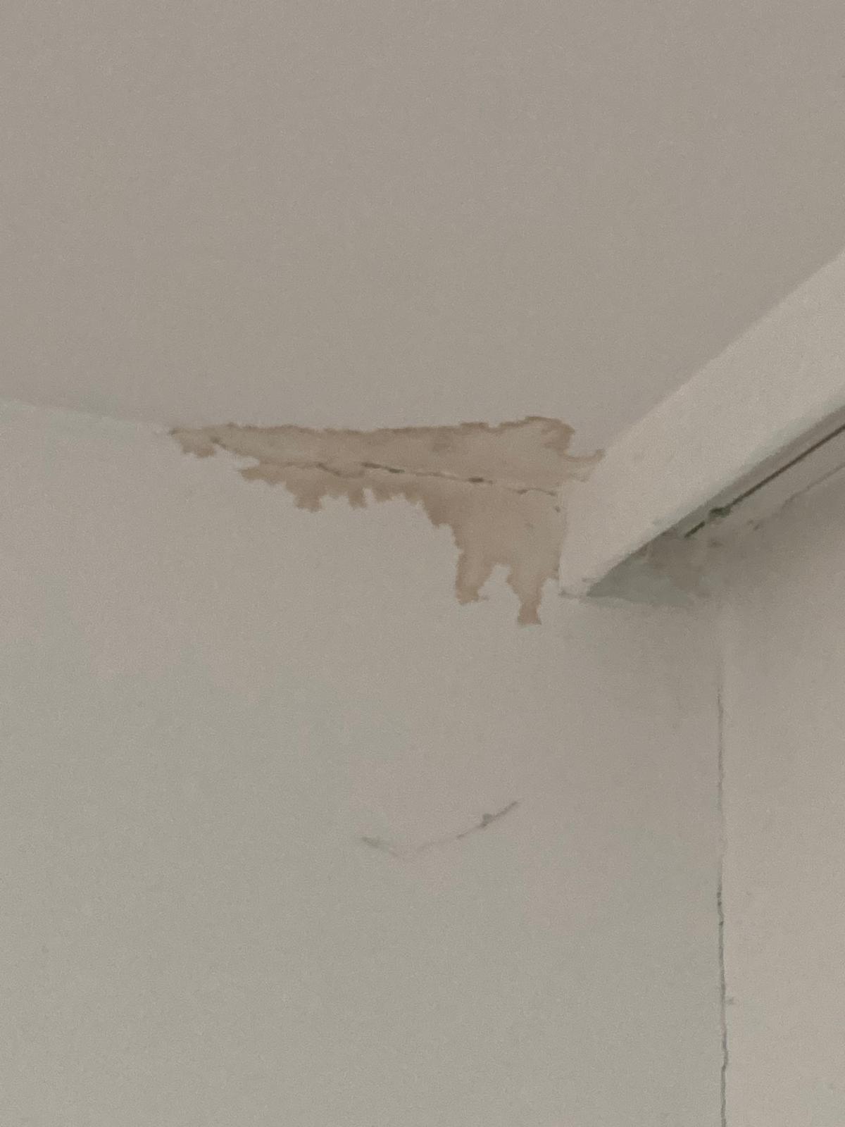 WhatsApp Image 2025-06-24 at 21.03.27 (3)