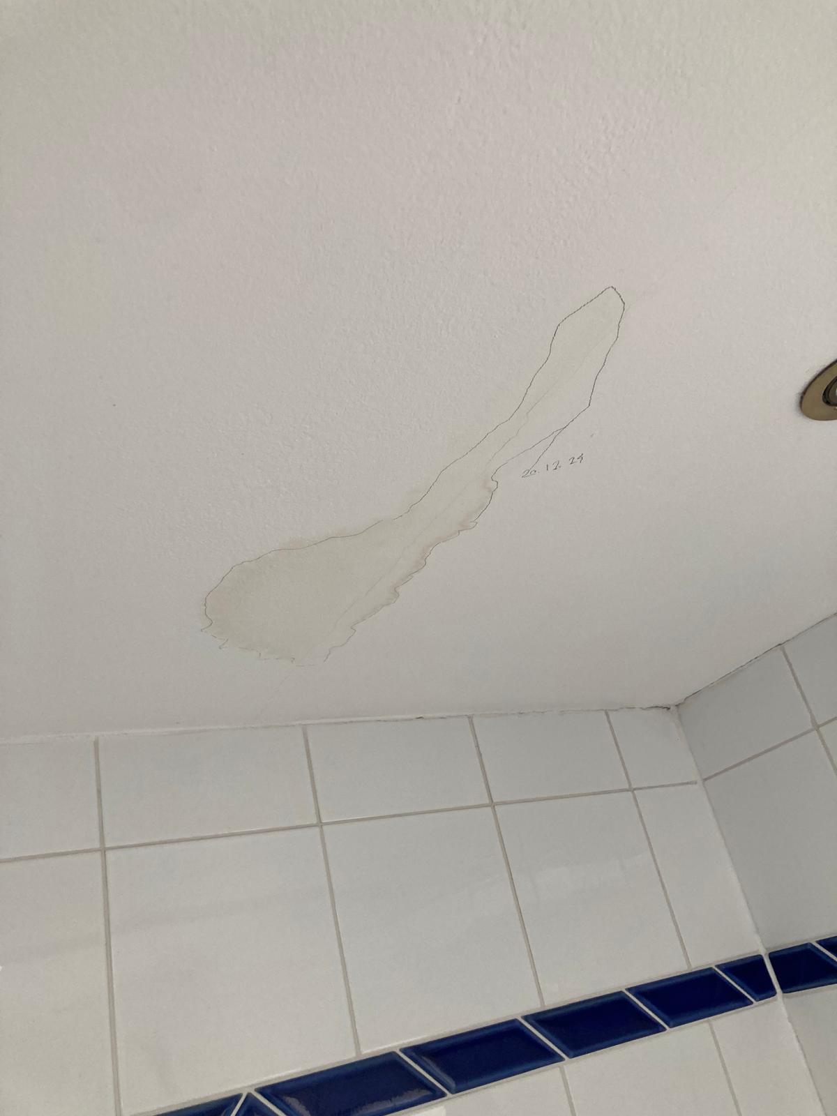 WhatsApp Image 2025-06-24 at 21.03.27