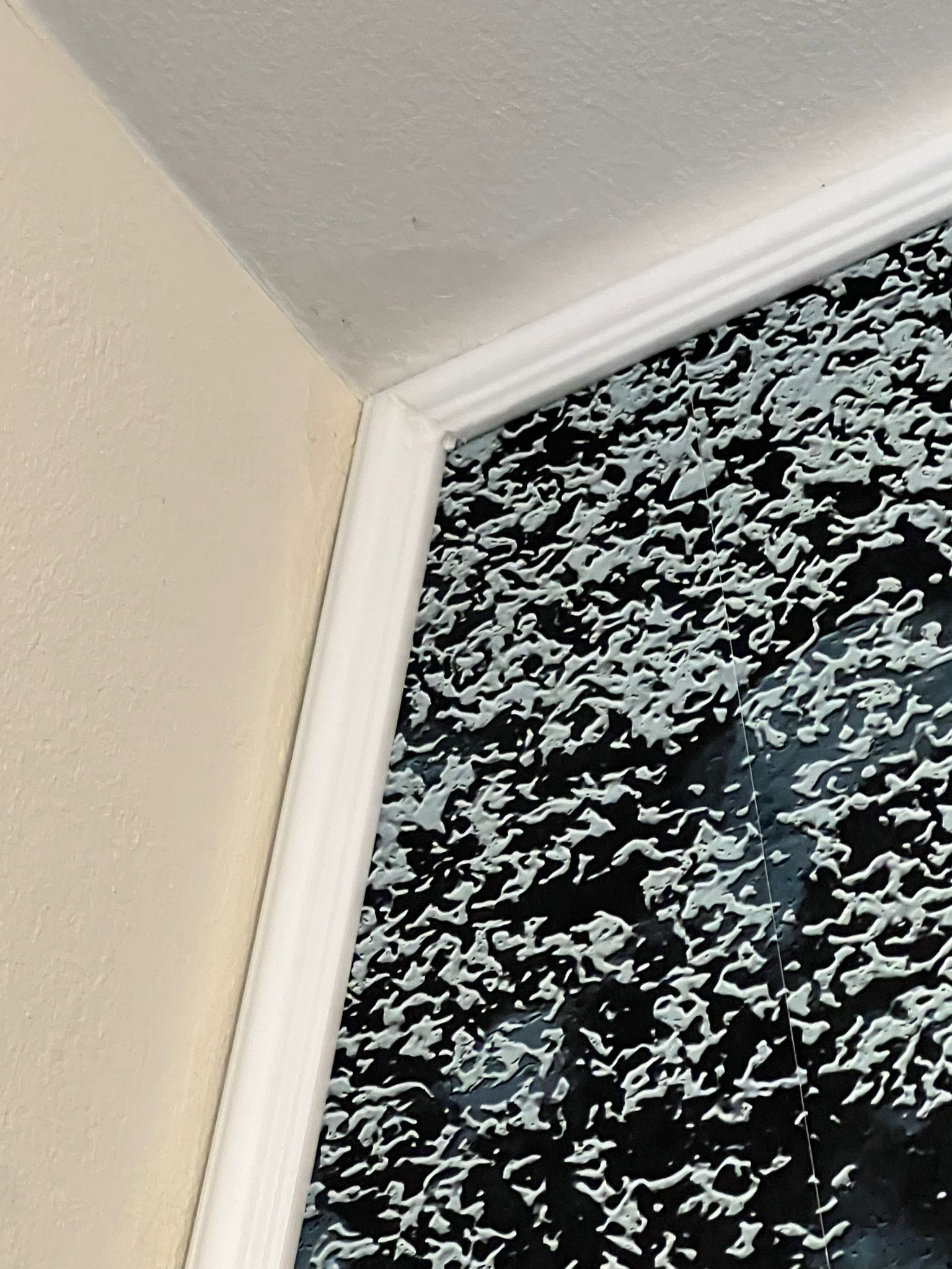 WhatsApp Image 2025-07-12 at 16.23.20 (7)